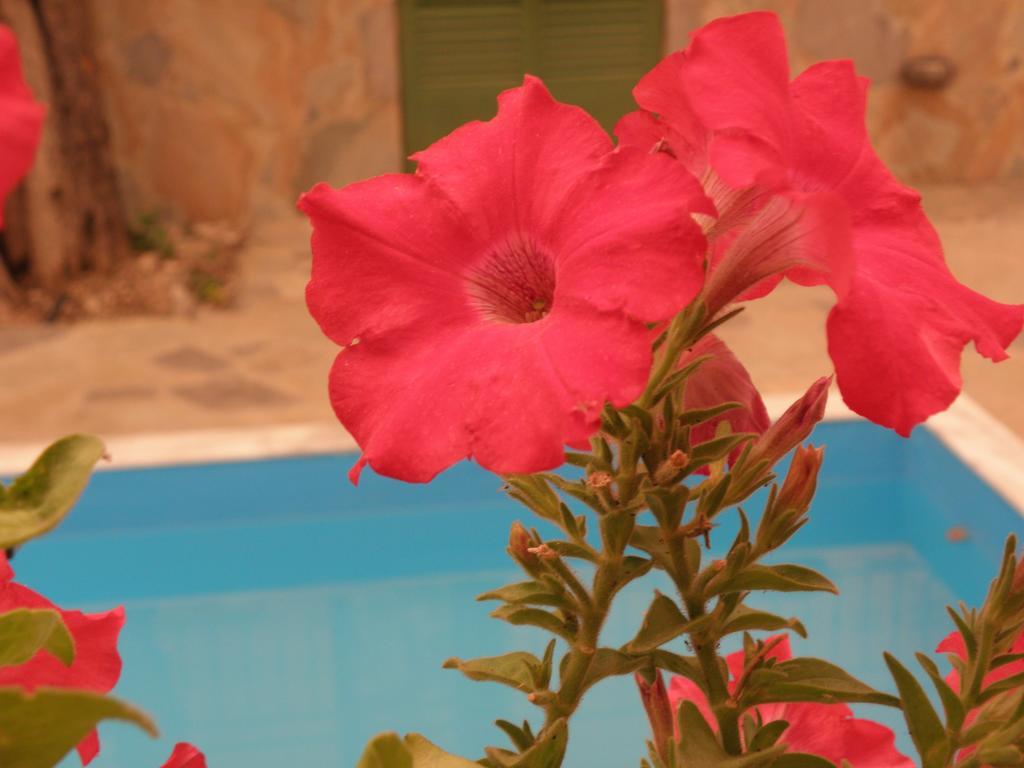 Ampoulos Rooms & Apartments Kedro Bagian luar foto